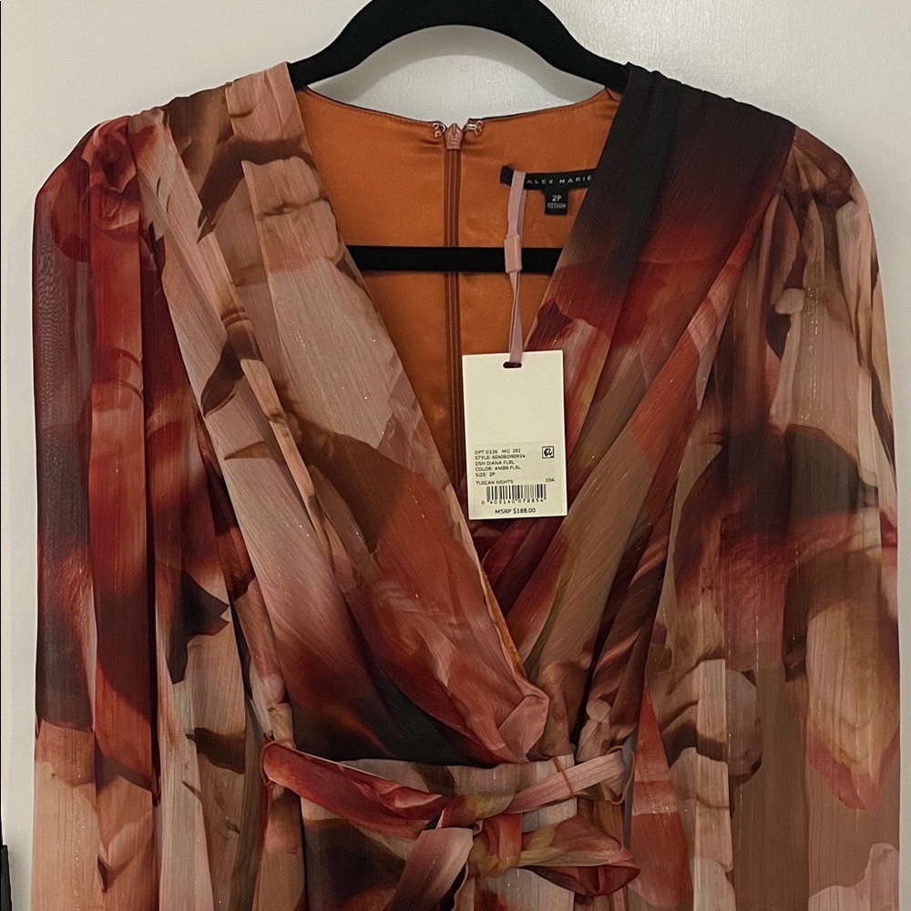 Alex Marie Elegant Multicolor Dress